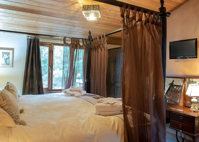 Argente - Still Rabbit - Hot Tub - Yorkshire Willa